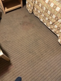 Dirty stained smelling carpet