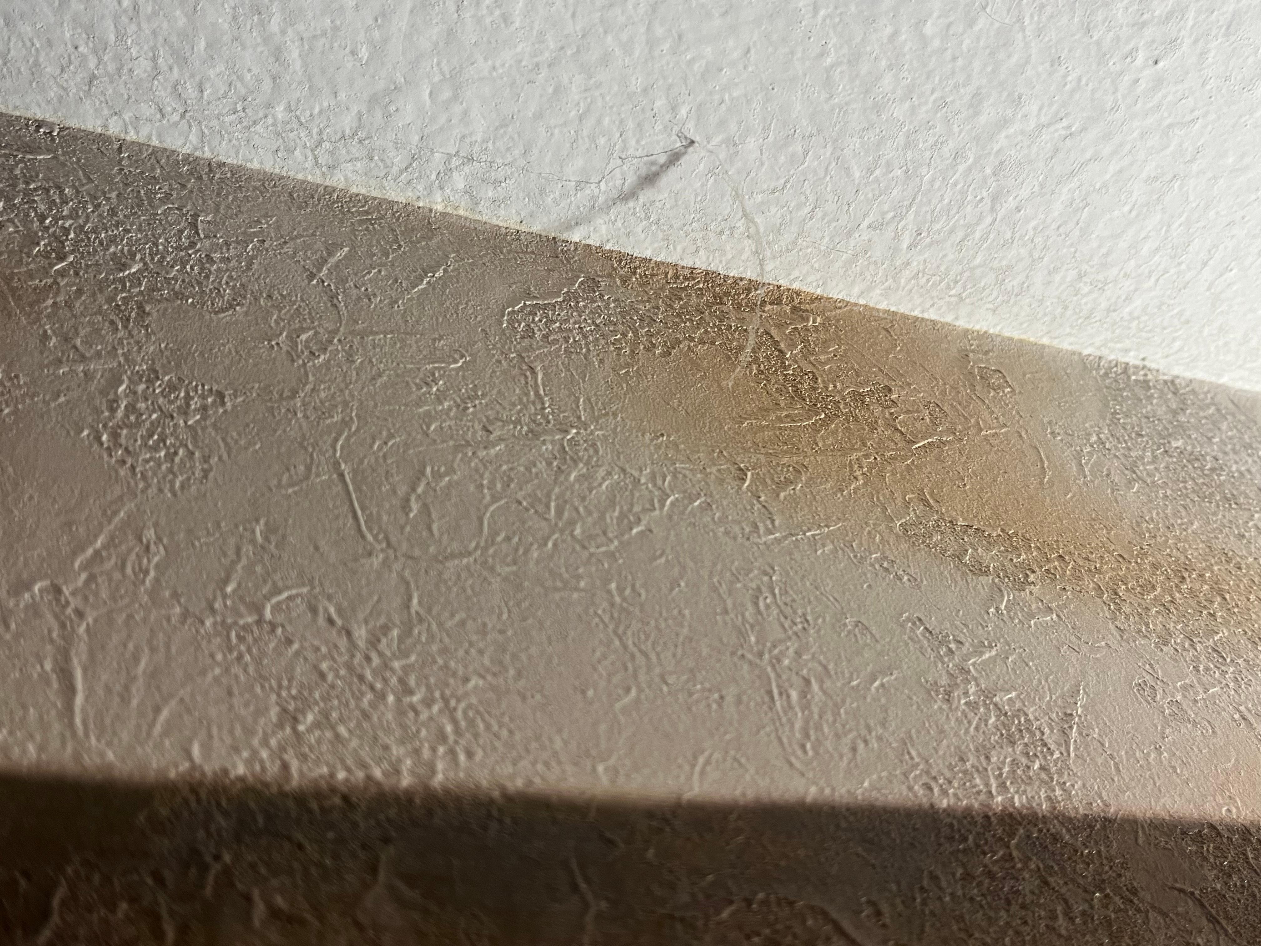 Webcobs on the top of our bed.