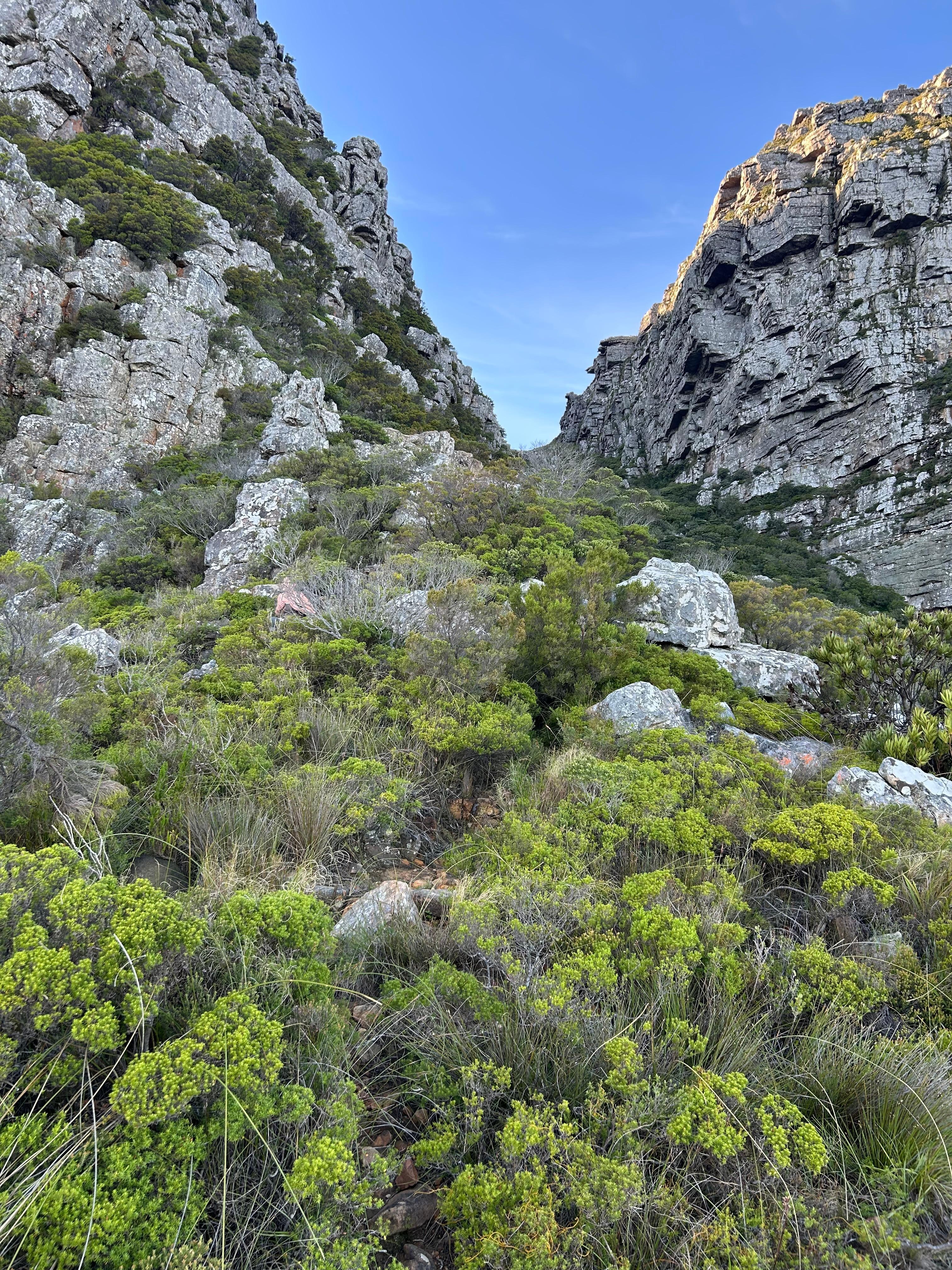 Kasteelsport trail hike