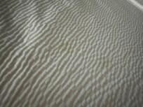 Stains on comforter, hair under covers,