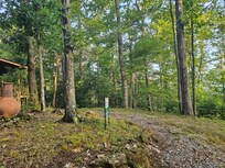 Woods area