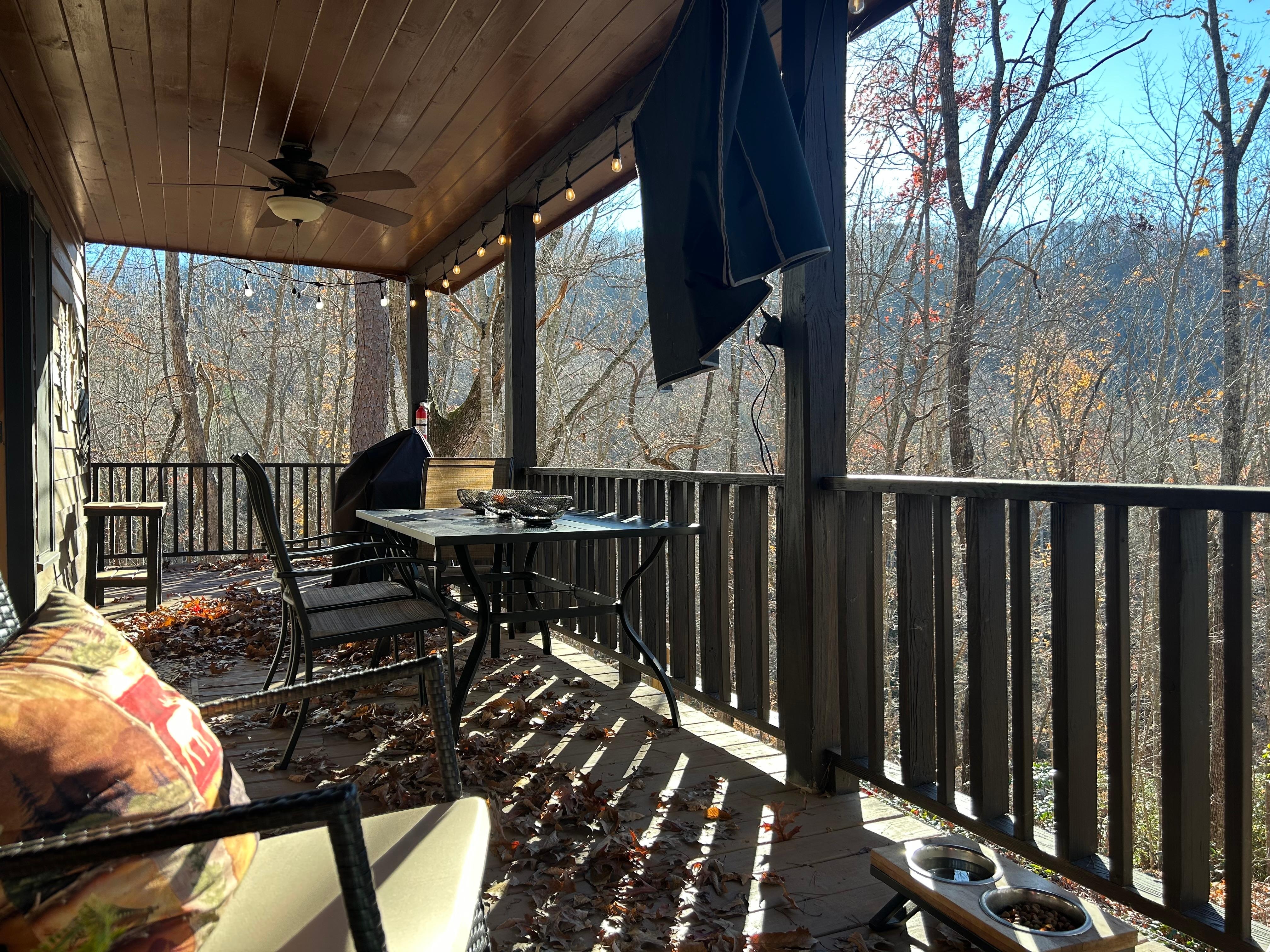 View from the deck which got wonderful sunshine and was so comfortable for morning coffee and relaxing. 