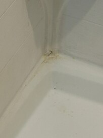 Shower was nice t cleaned