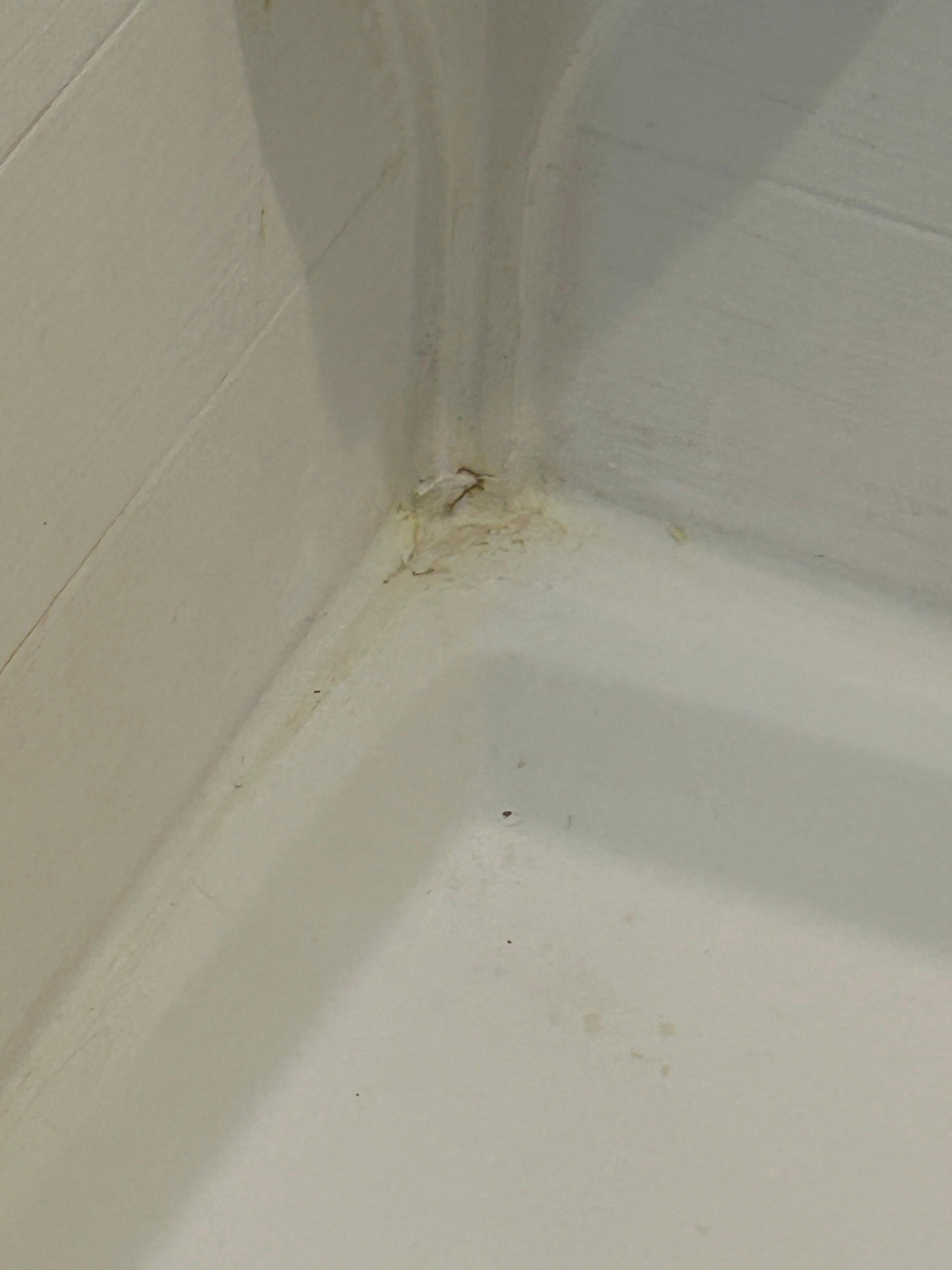 Shower was nice t cleaned