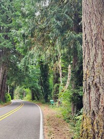 Beautiful drive to the local market.