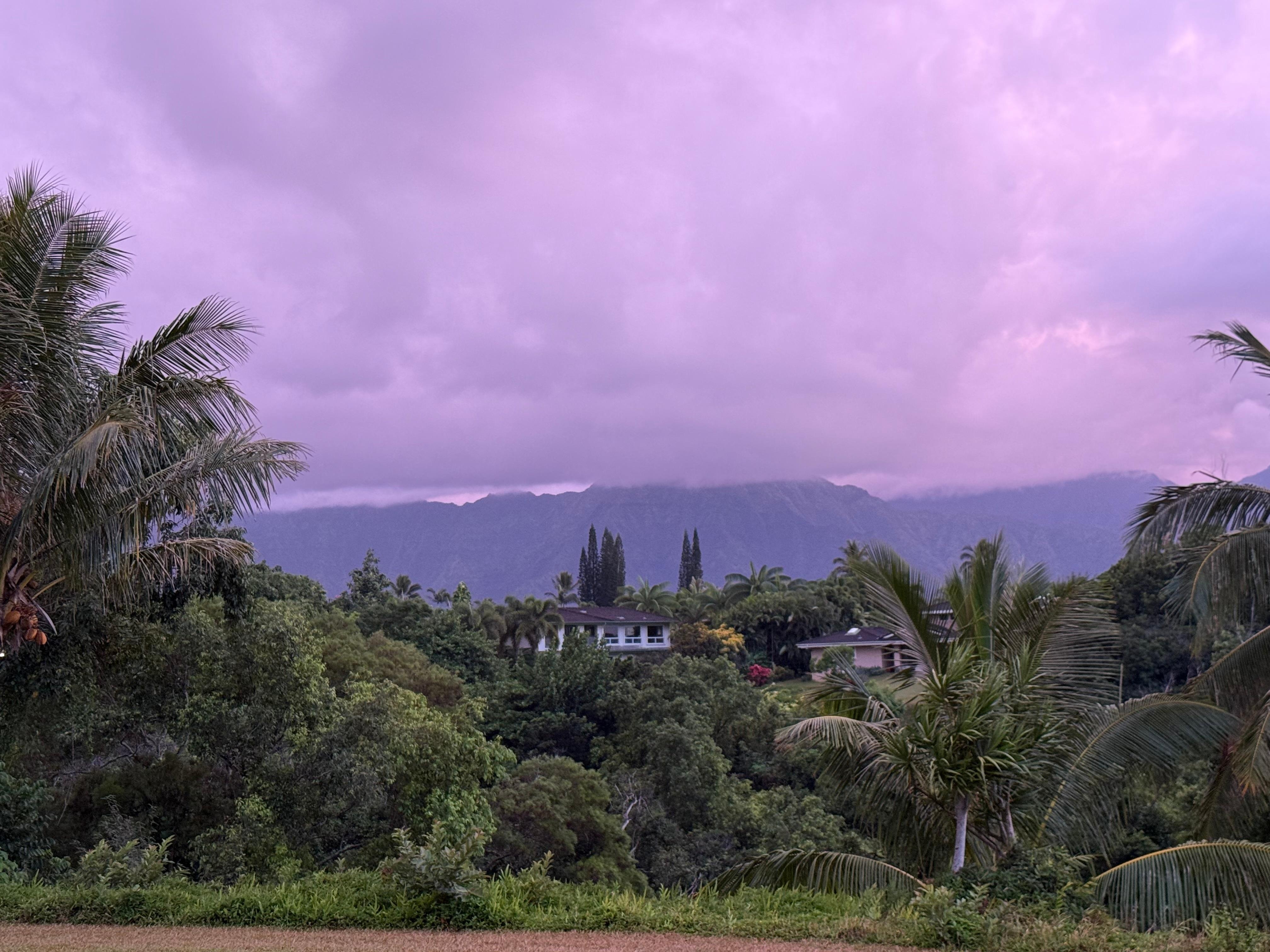 View from the living room/backyard