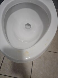 Urine left on the toilet