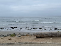 Tourmaline Surfing Park