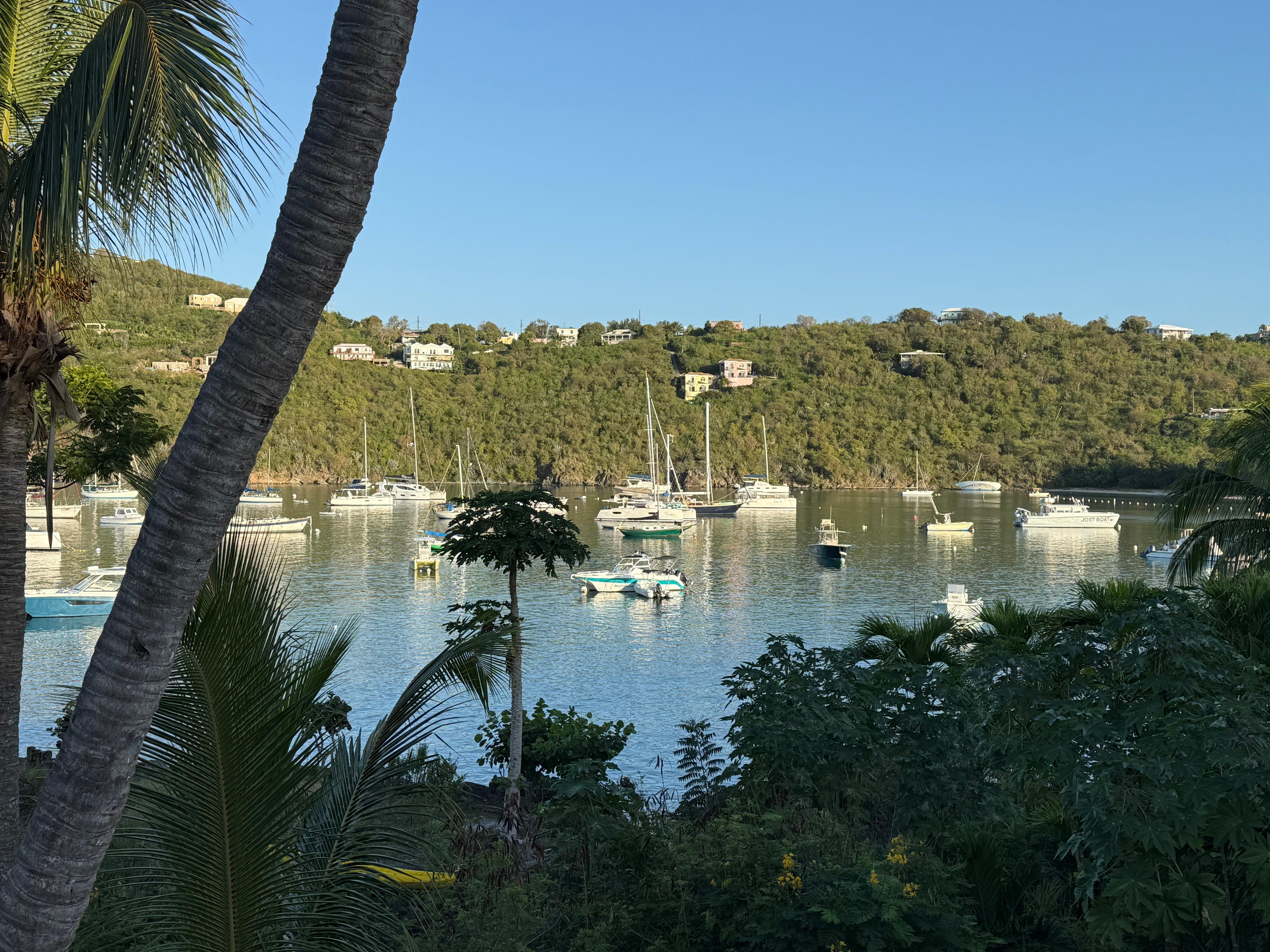 View when waking up every morning. 