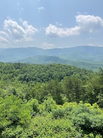 View from the back deck