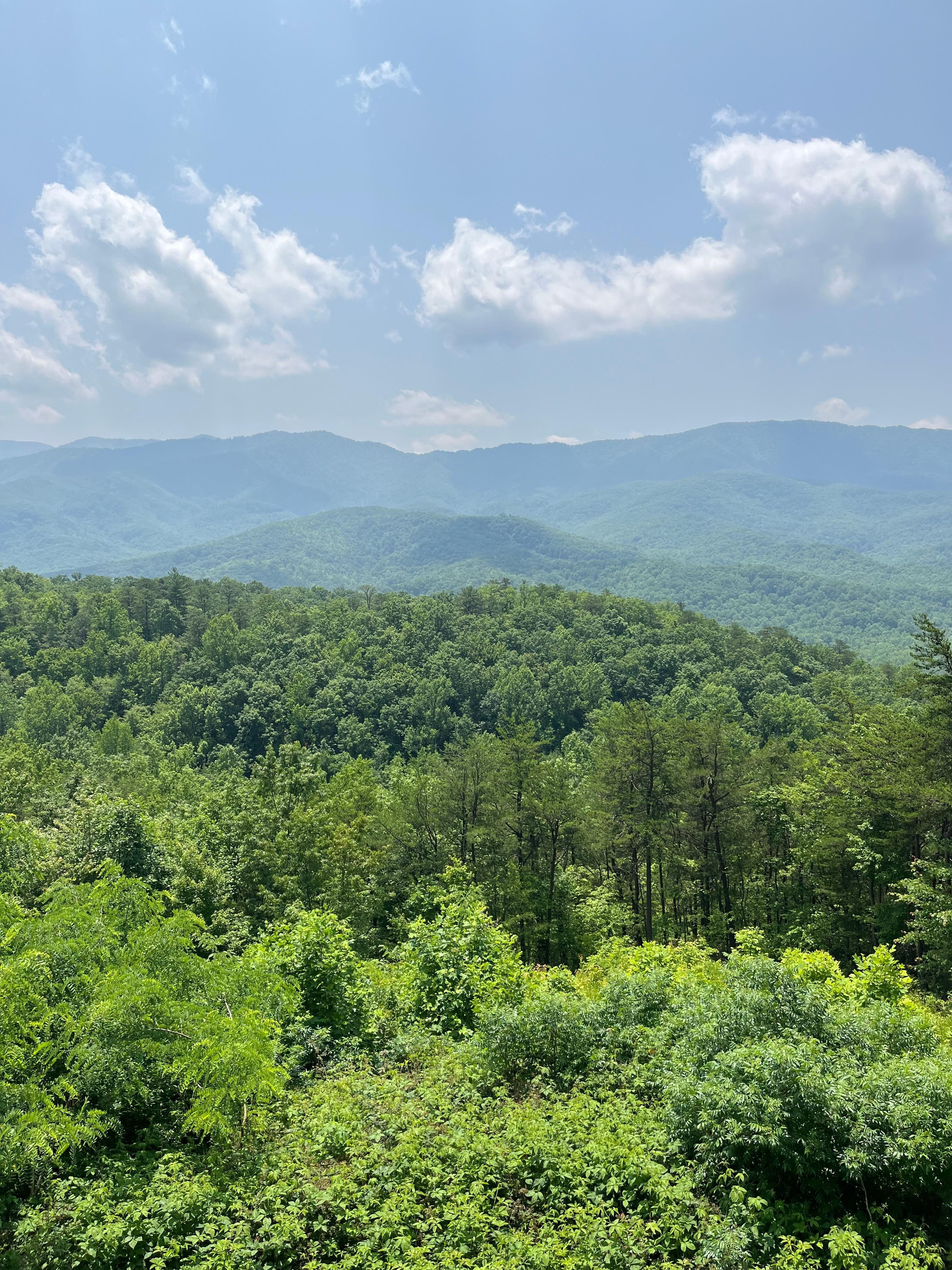 View from the back deck 
