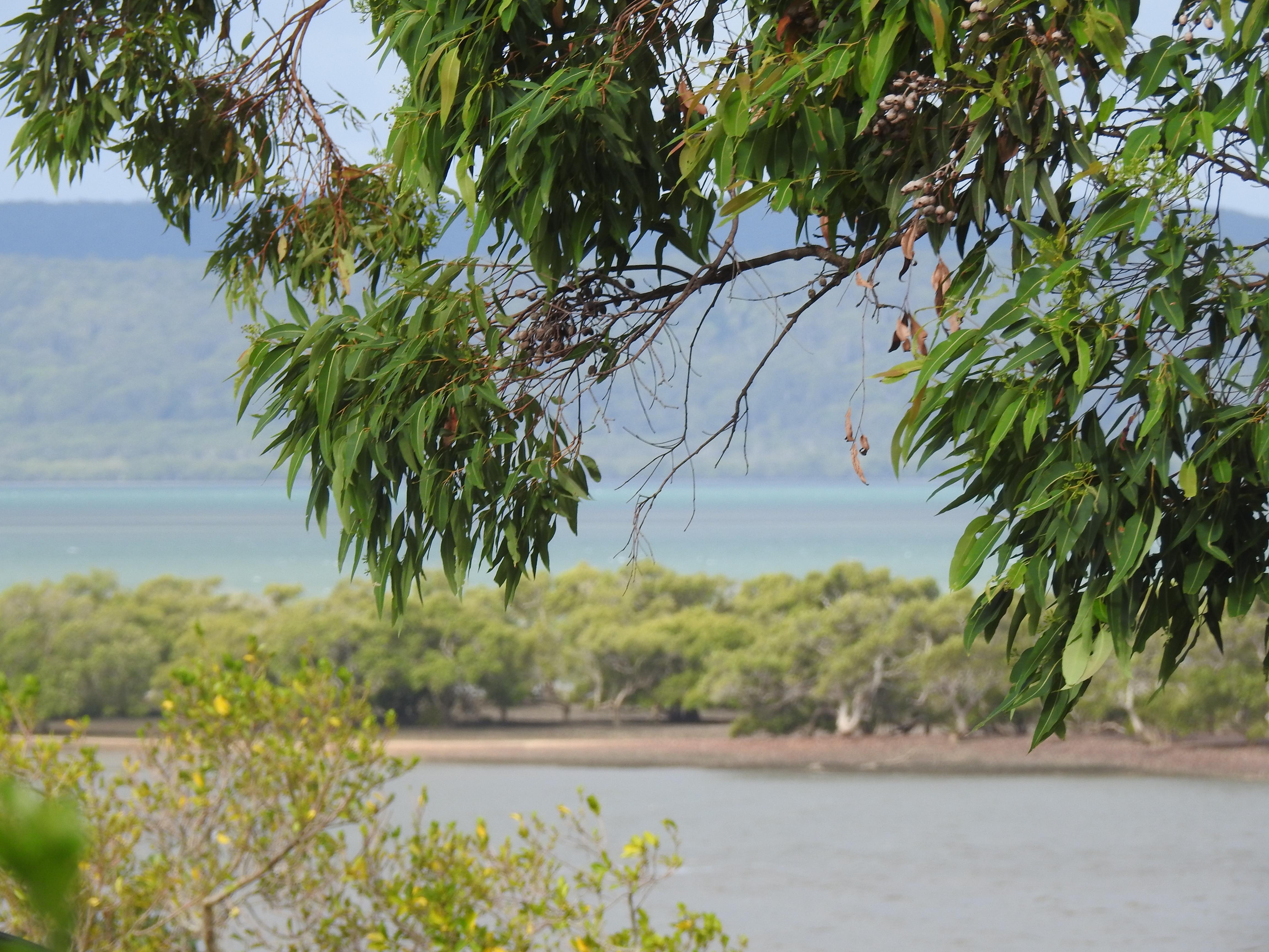 View from the verandah looking towards North Straddie.