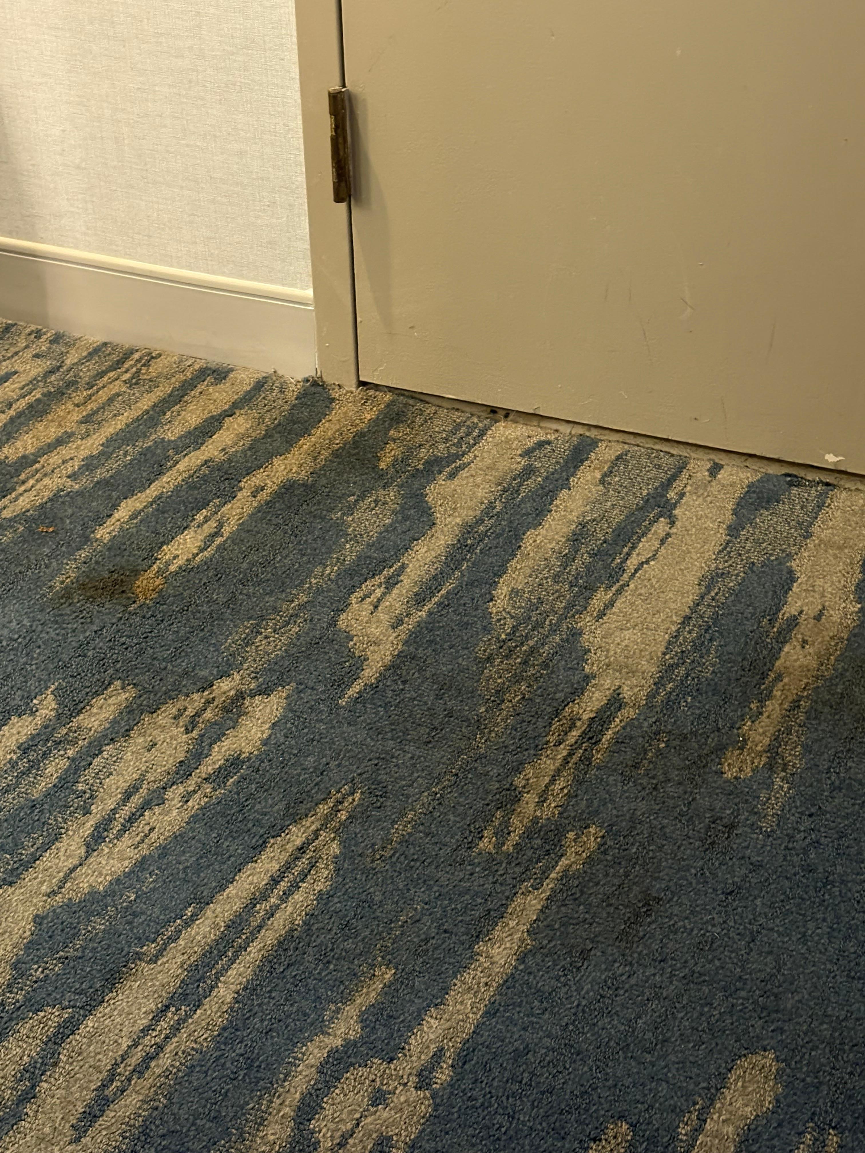 Carpet in room