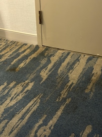 Carpet in room