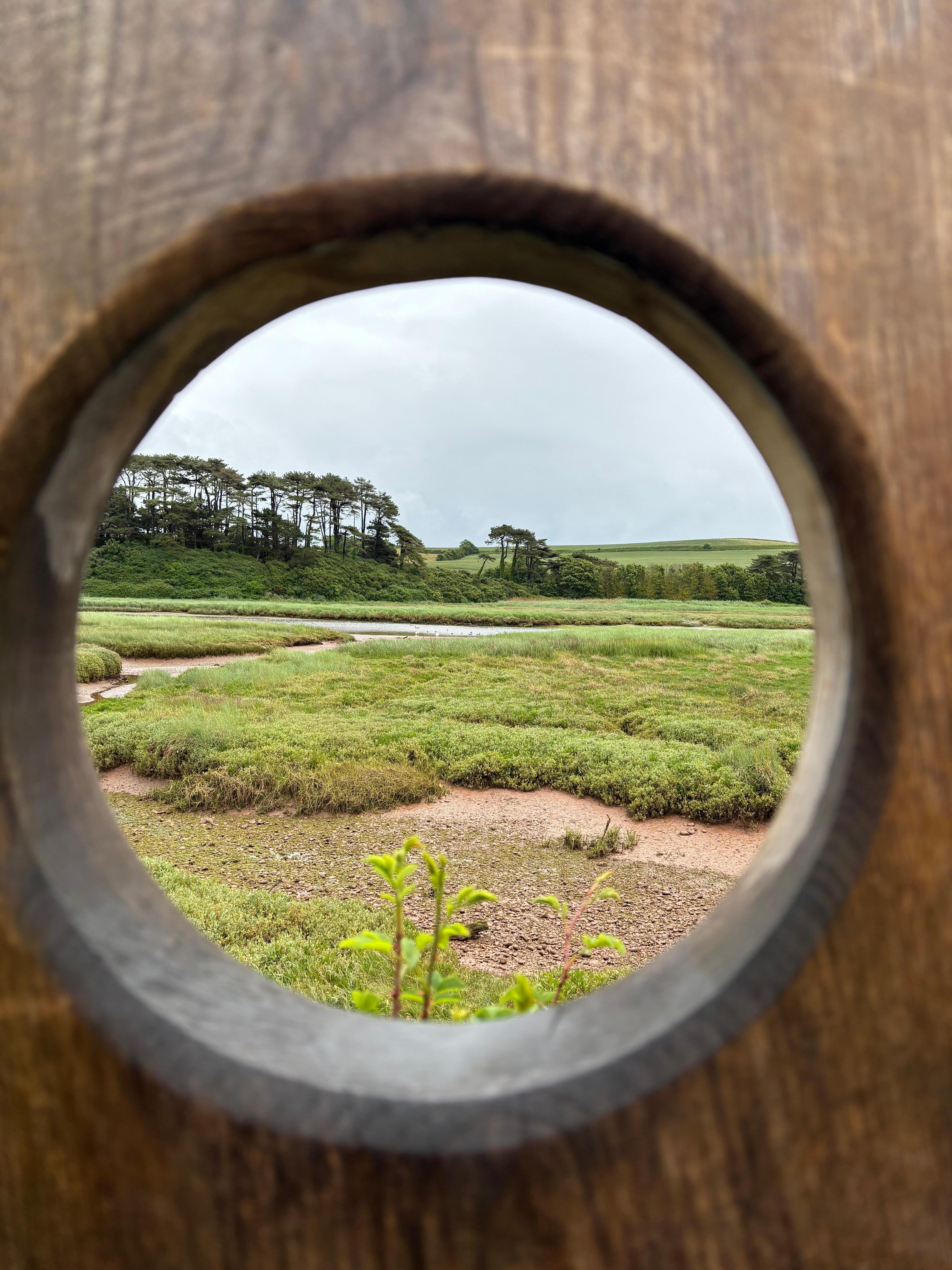 Otter Estuary Project walking path