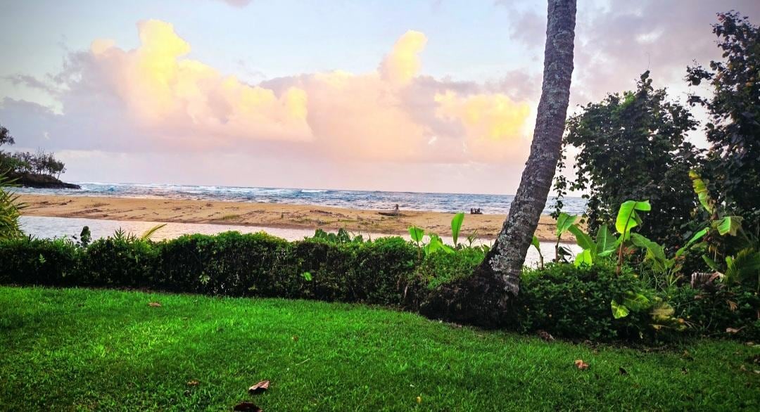 Our lanai view. 