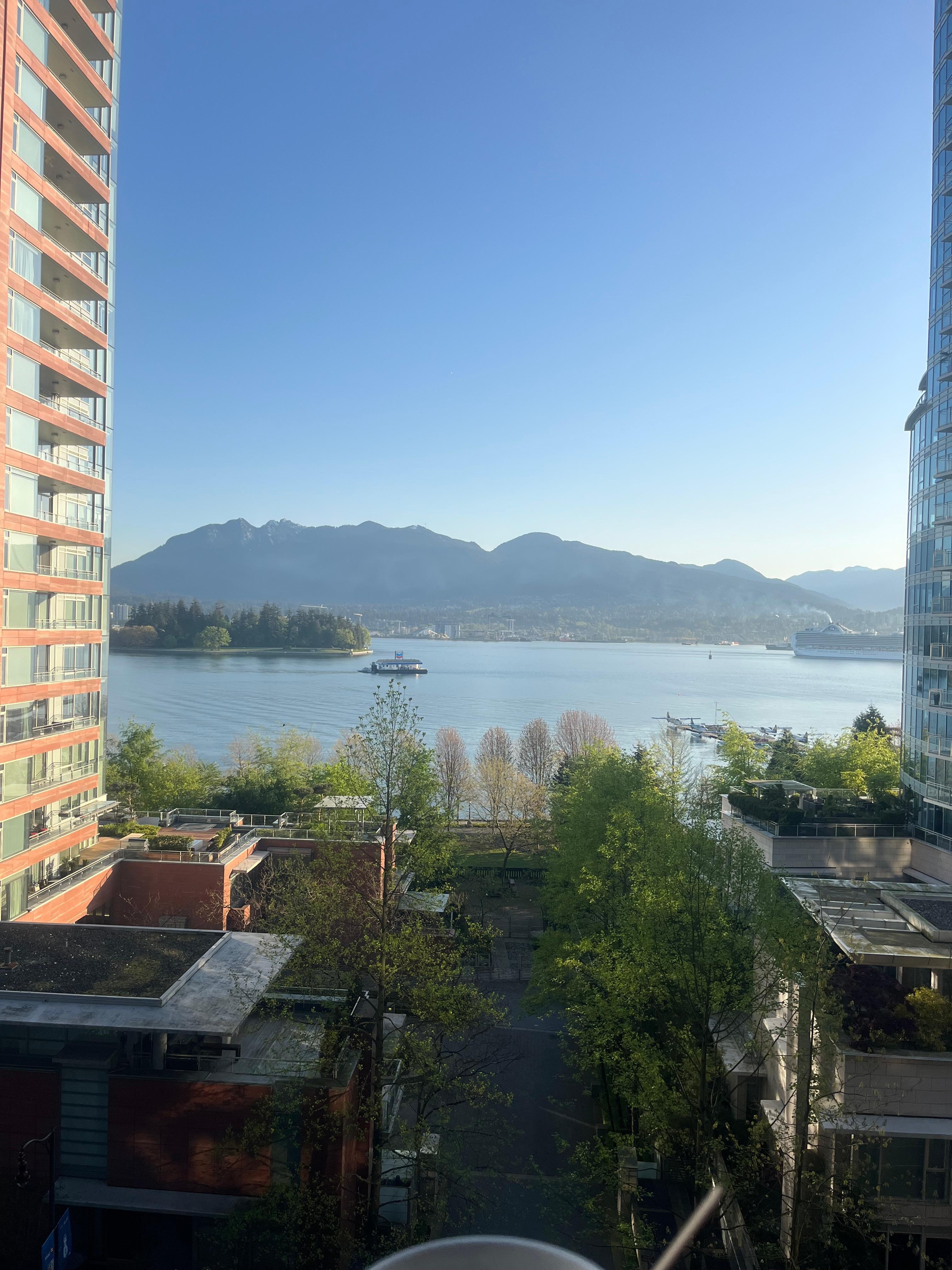 Vista desde la habitación 