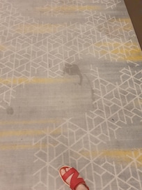 Carpet in the hallway