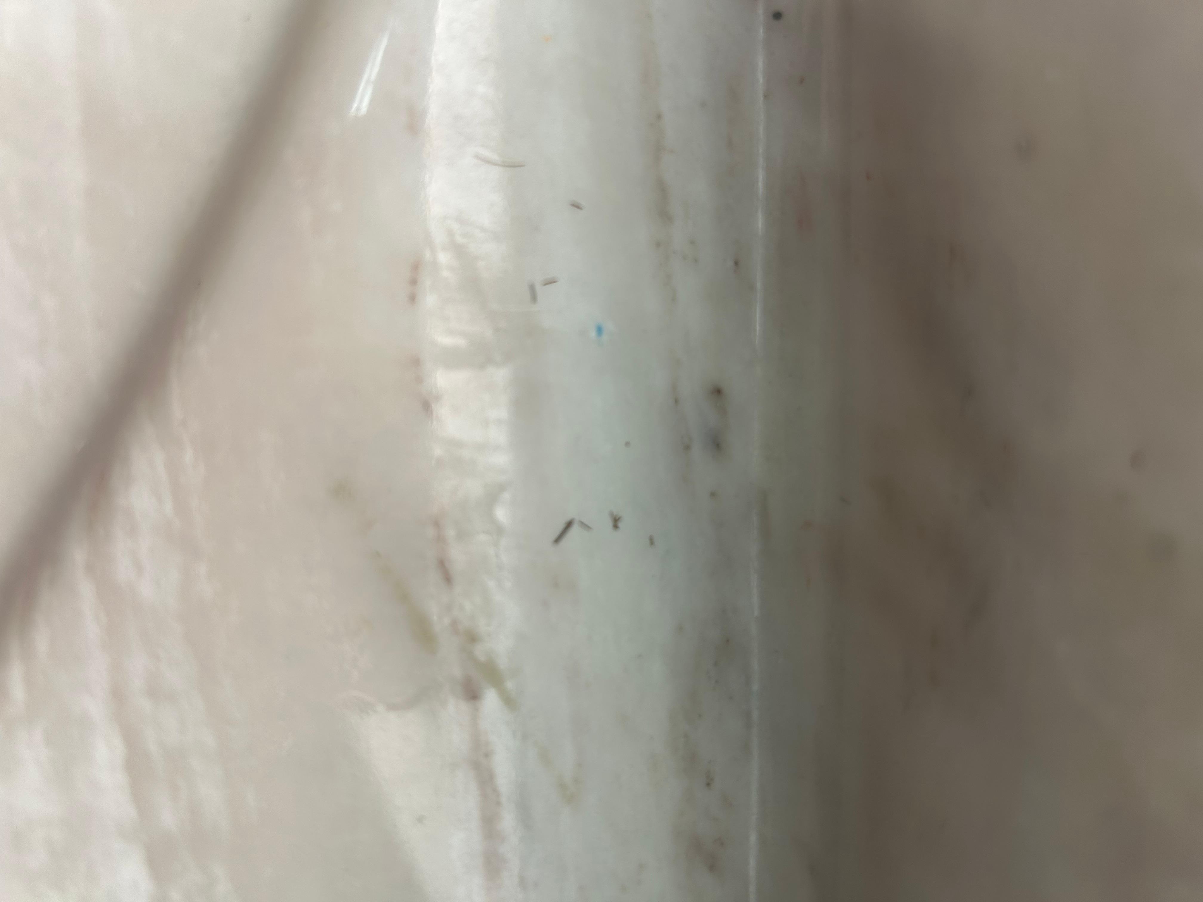 Shaved hairs by sink