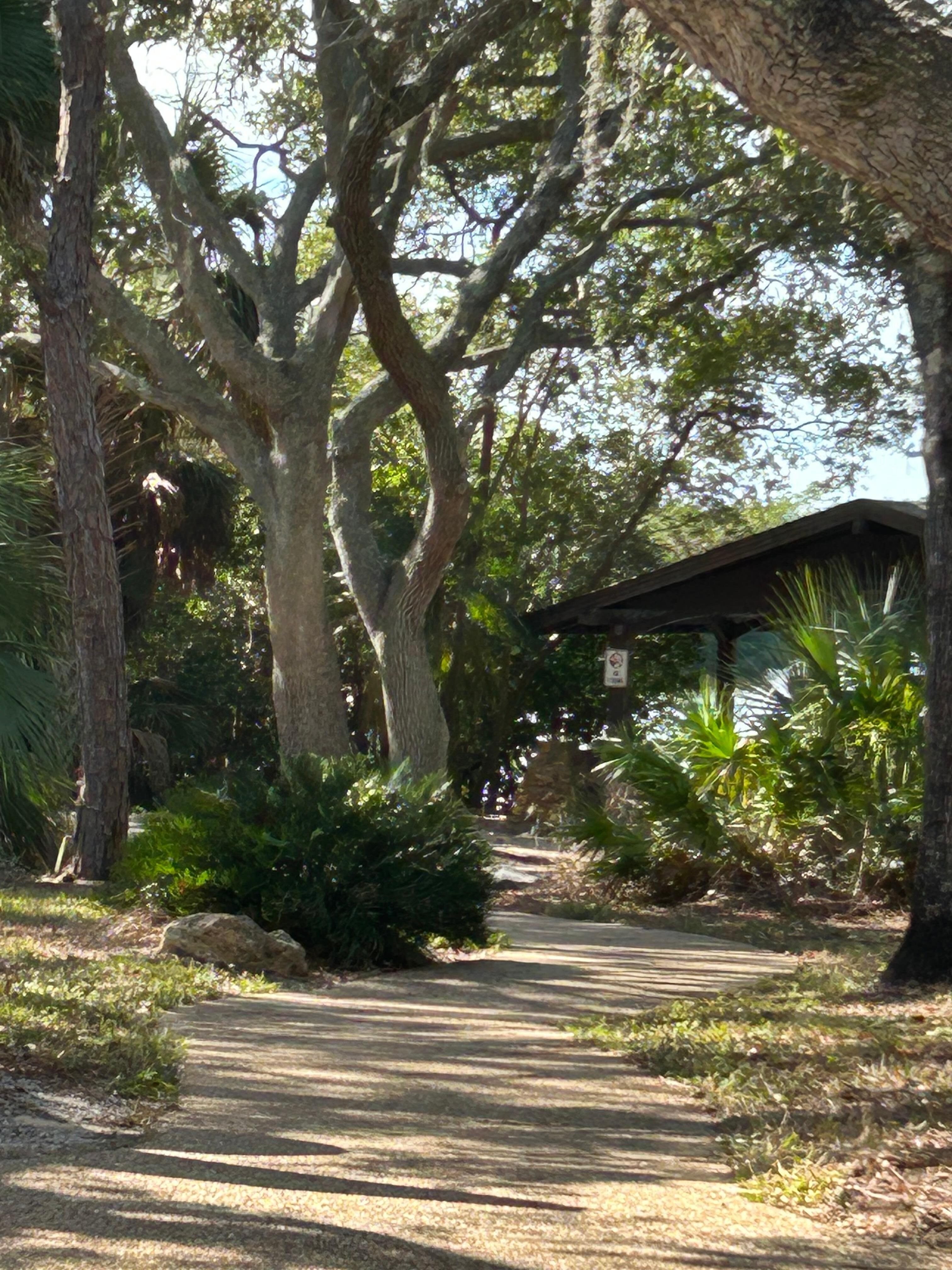 Beautiful parks nearby 