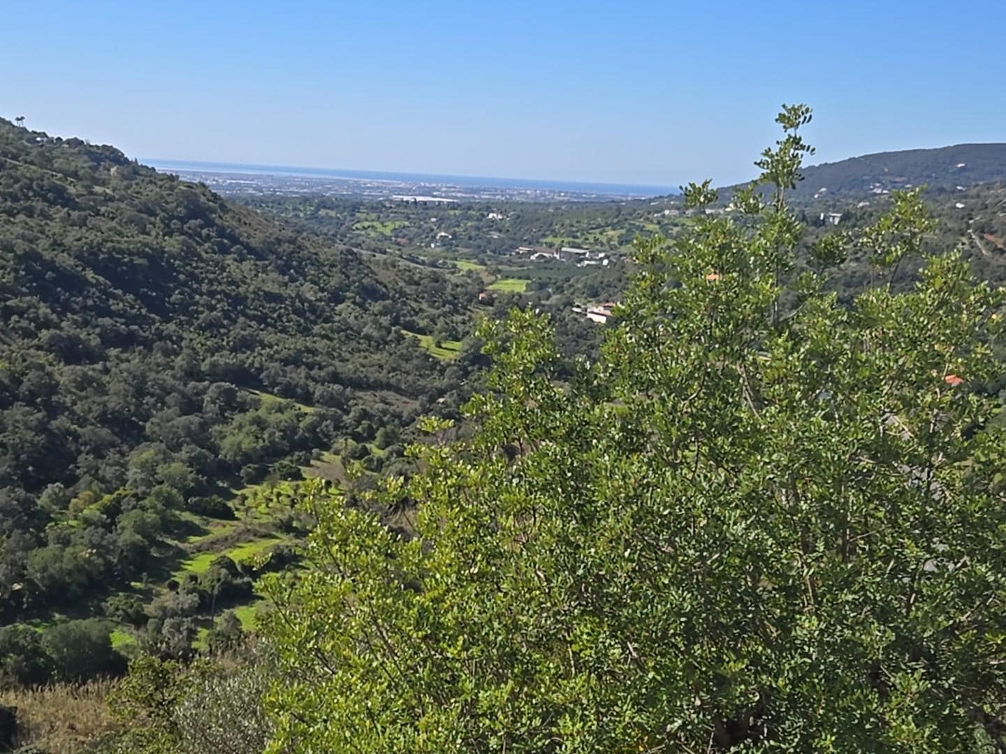  View from Villa down to Faro and ocean