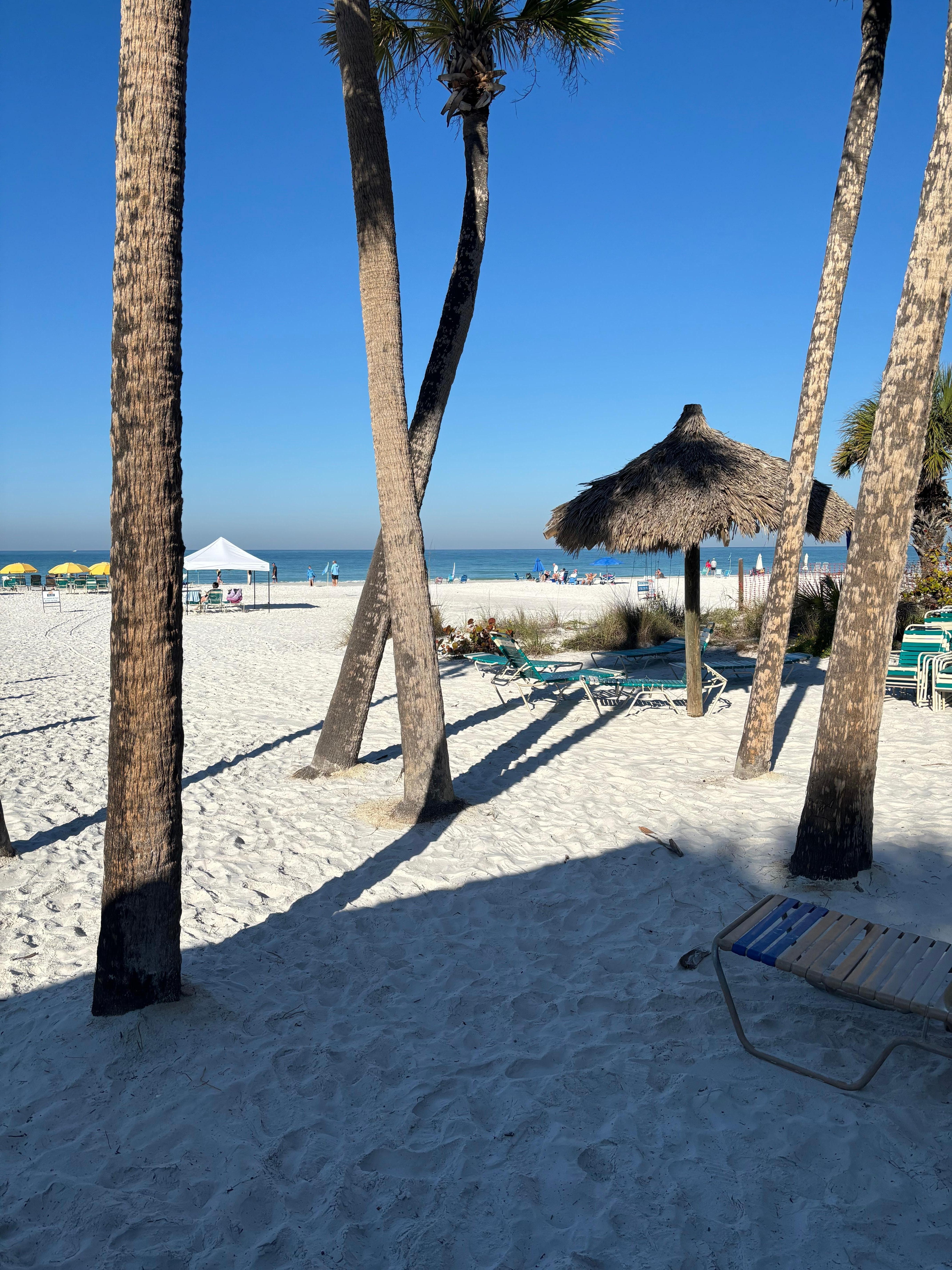 View from condo building