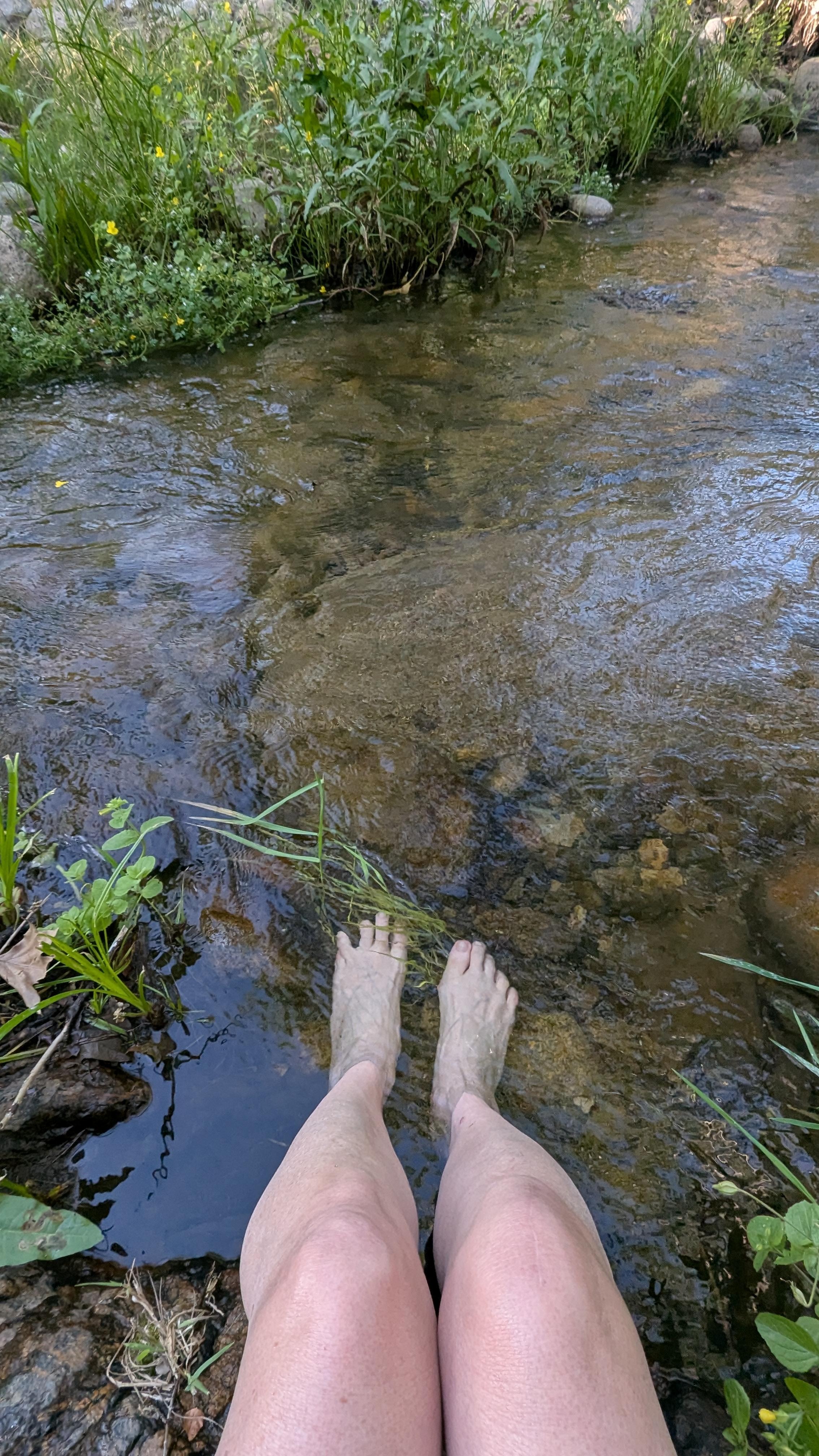 Soaking my feet in the creek was quite refreshing. 