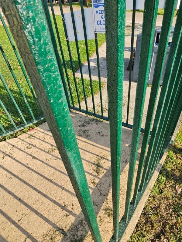 Grass clippings around pool