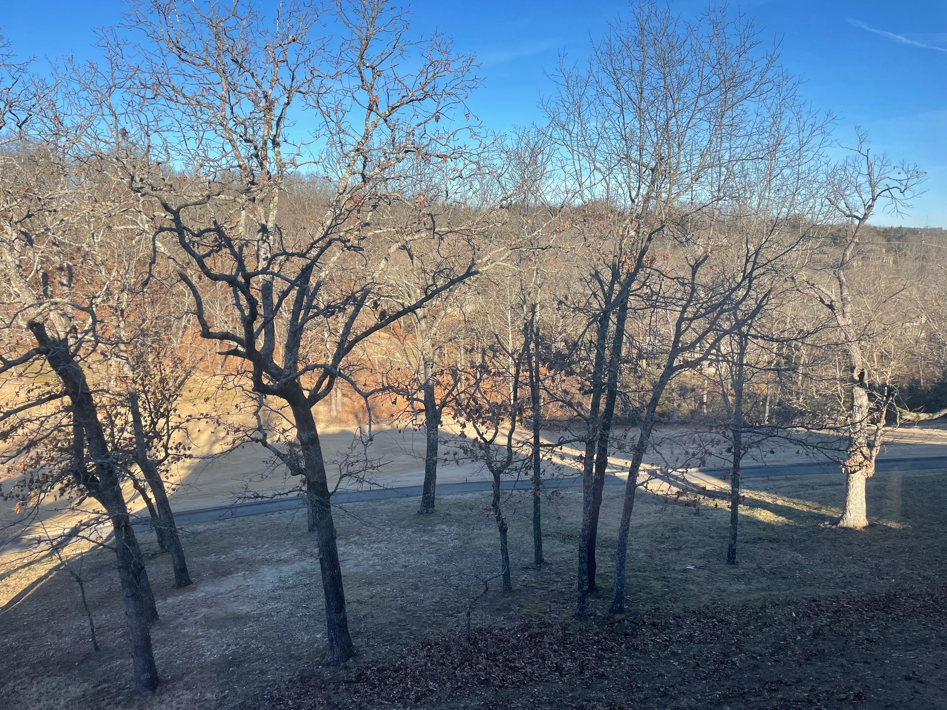 The Golf Shack - View from 