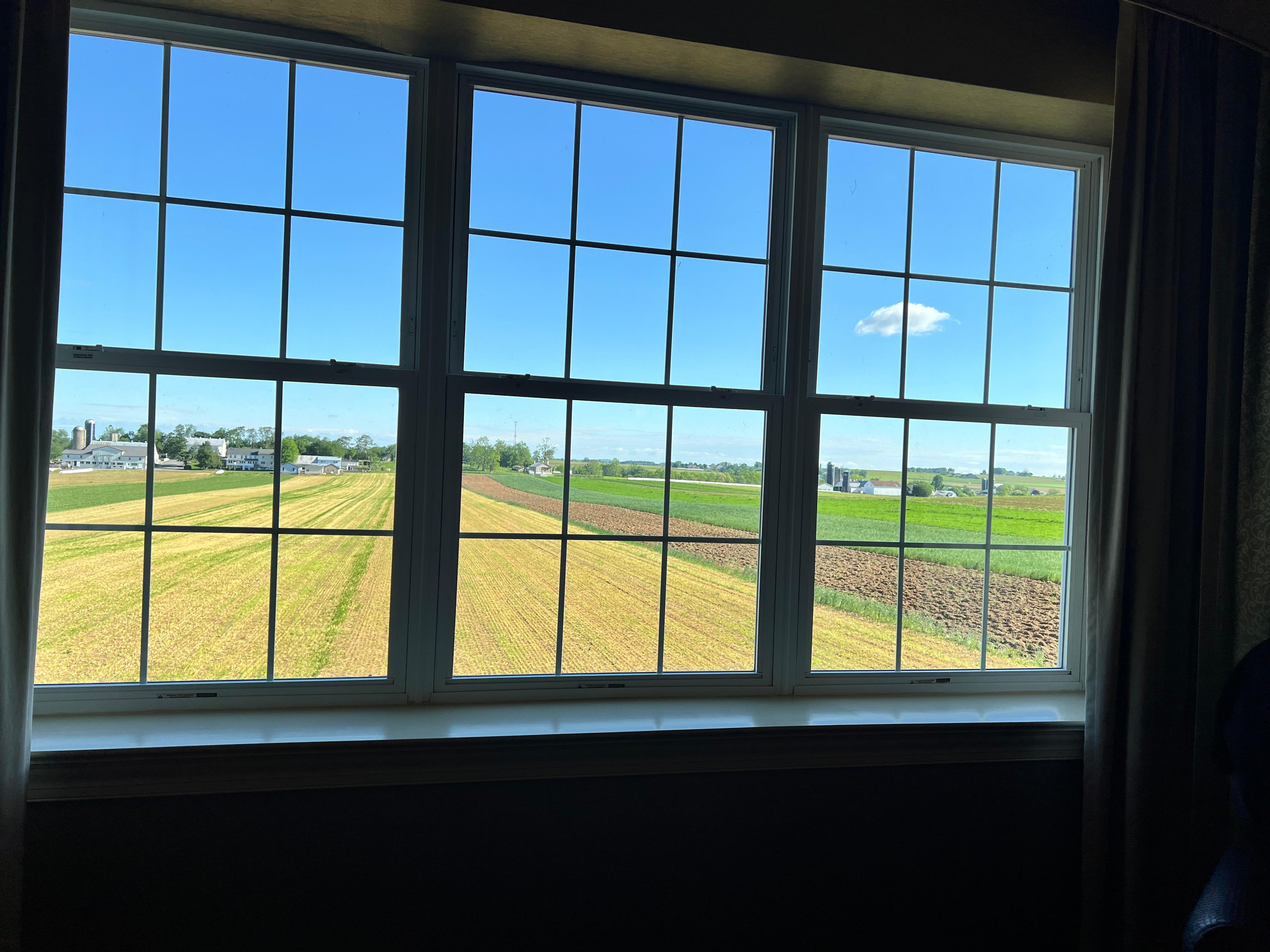 View from hotel room