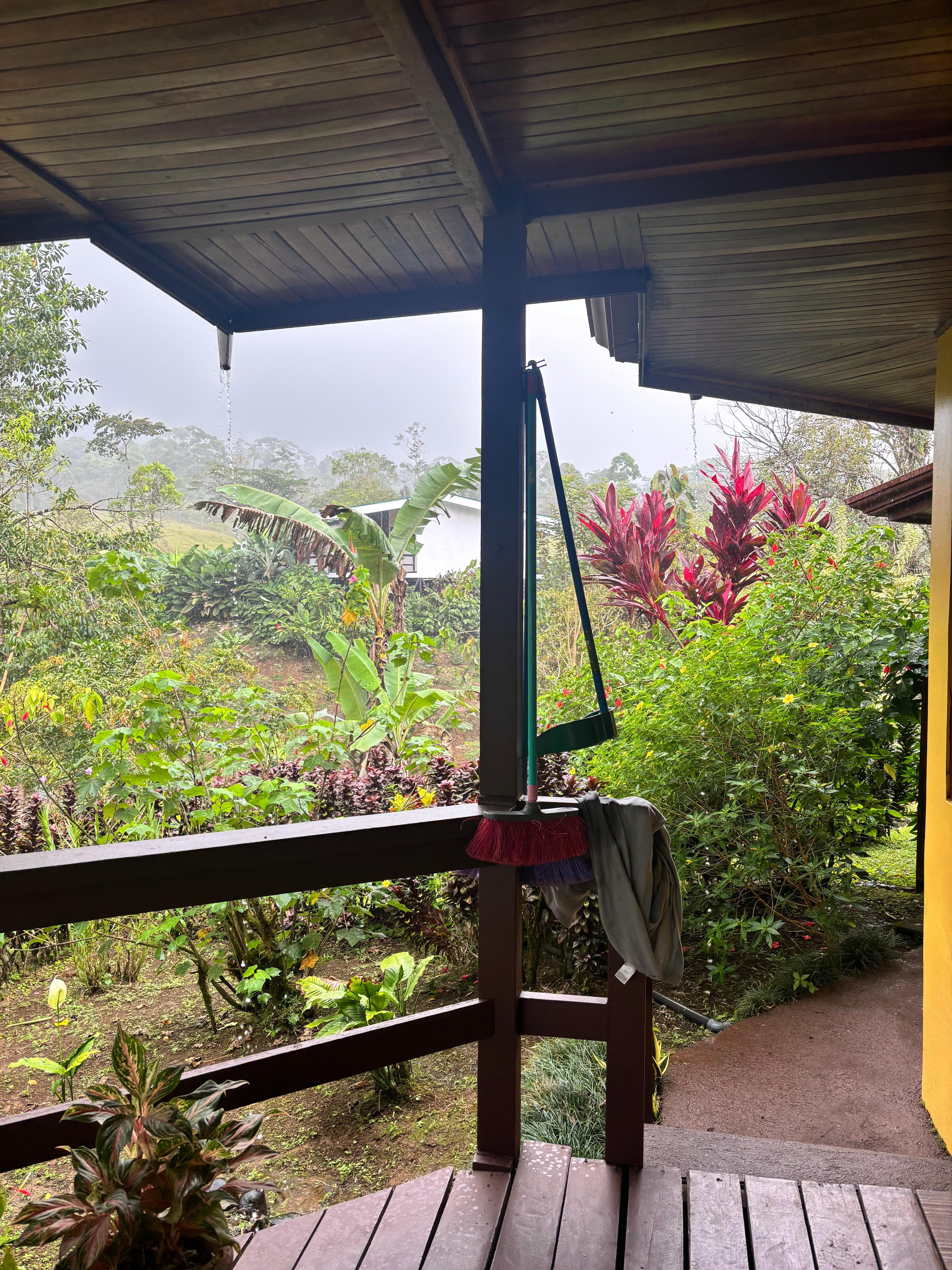 Even when it rains, the porch is perfect for bird watching.