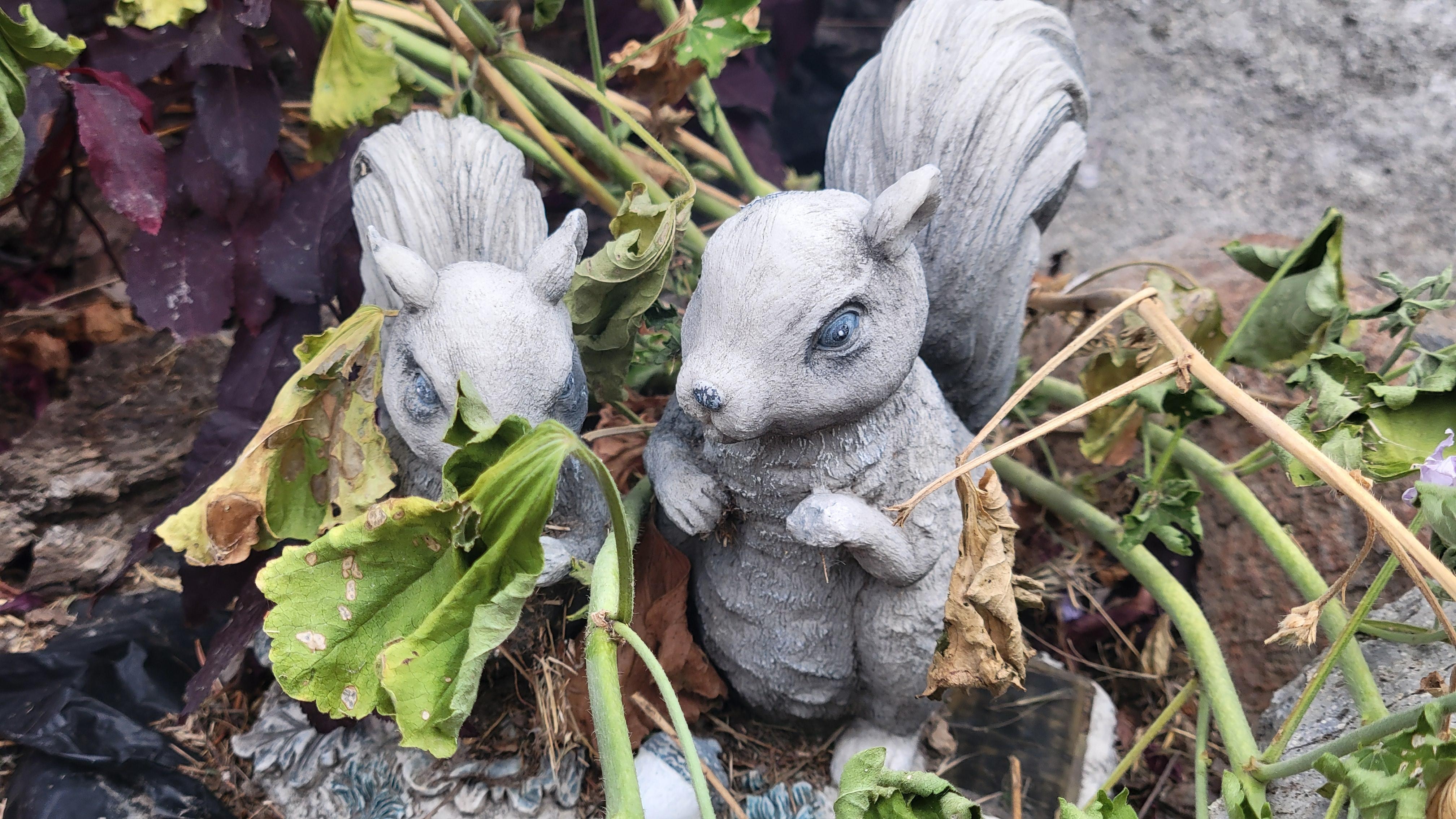 I got 11 sec video of the real one!