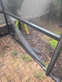 Ripped screen by pool letting bugs in.