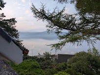 View from bdrm window