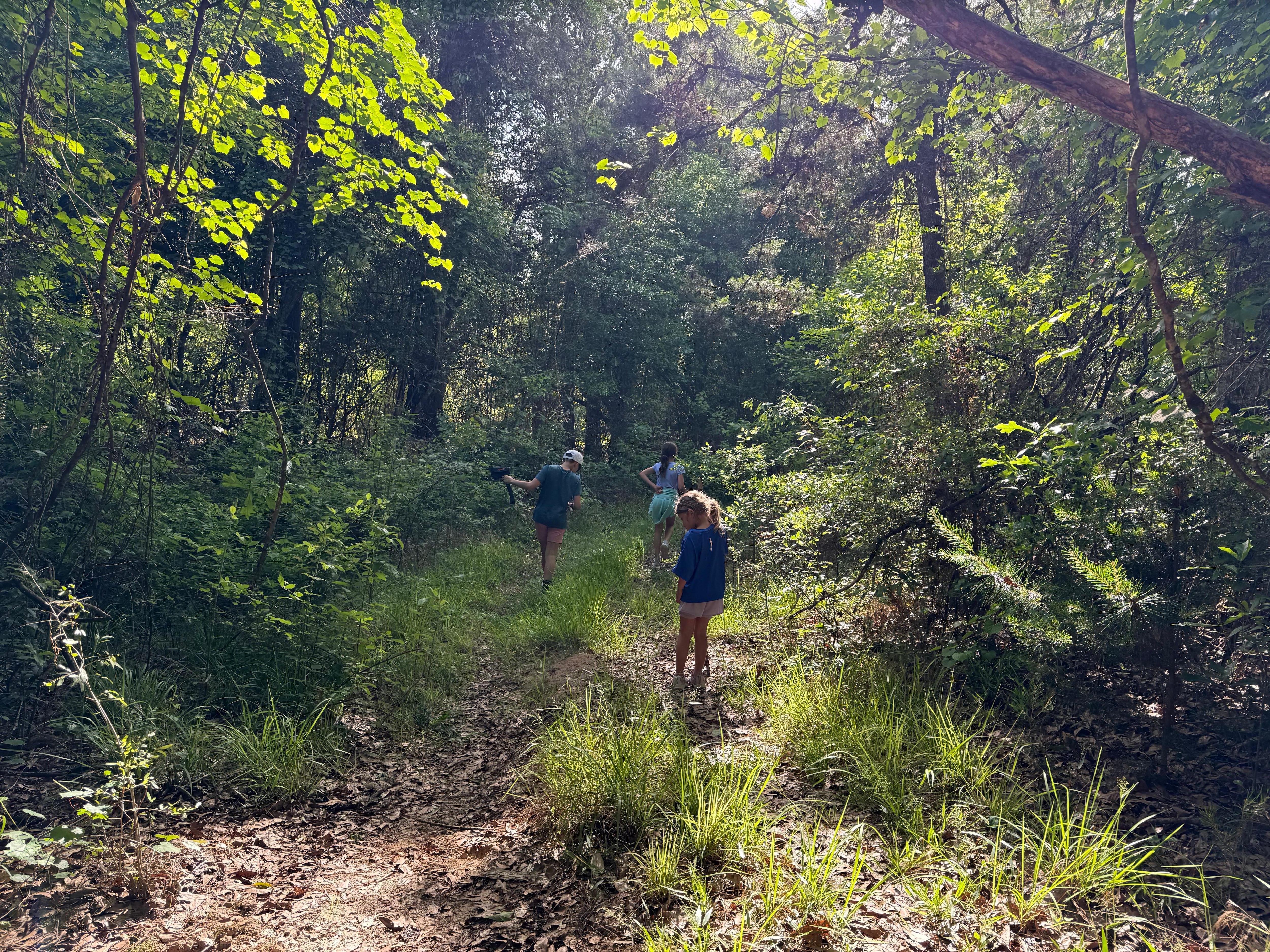 Exploring the property.