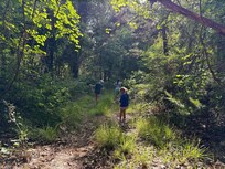 Exploring the property.