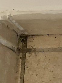 logement à peine propre