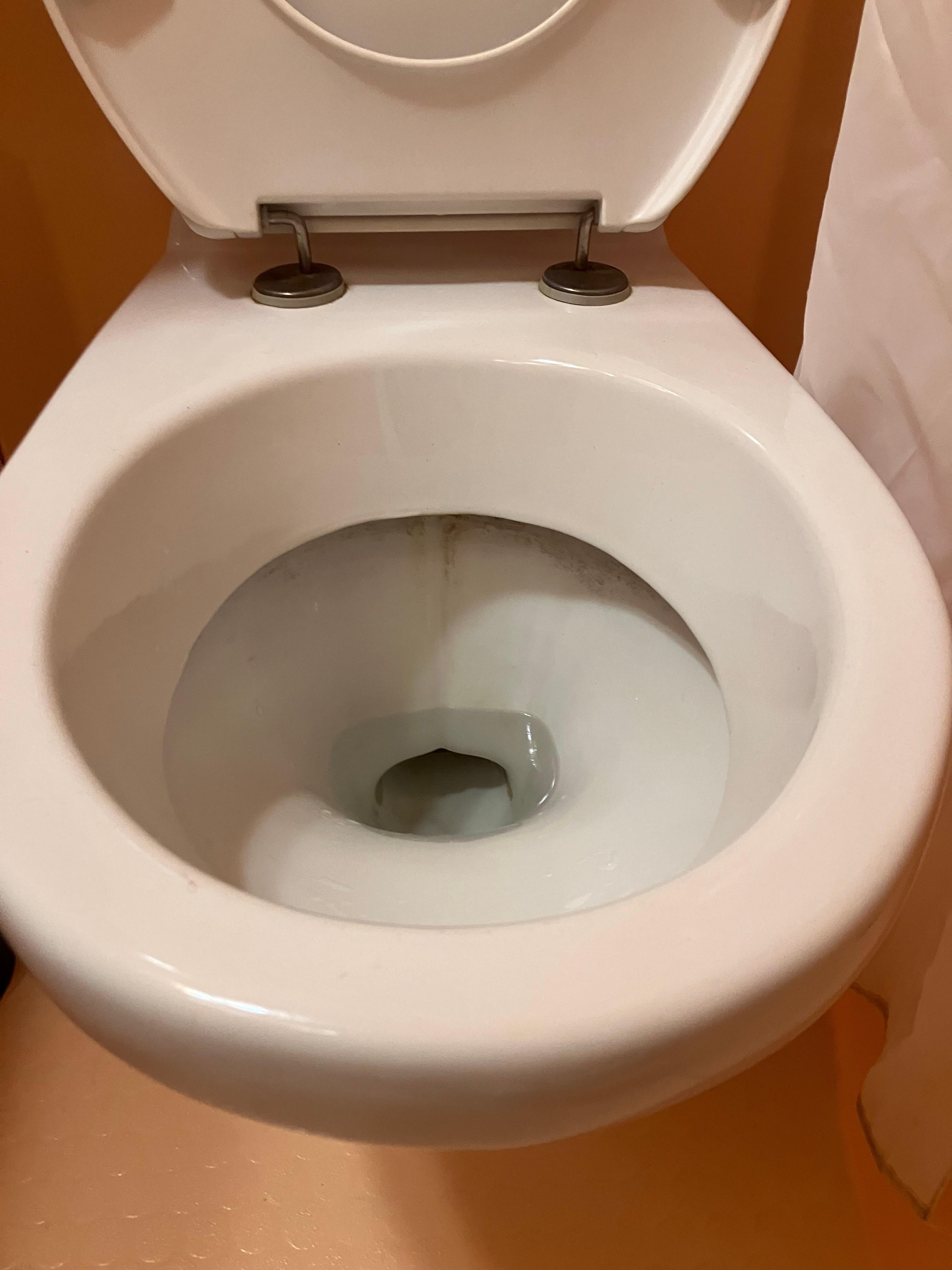 Toilette entartrées et odeur pestilentielle 
