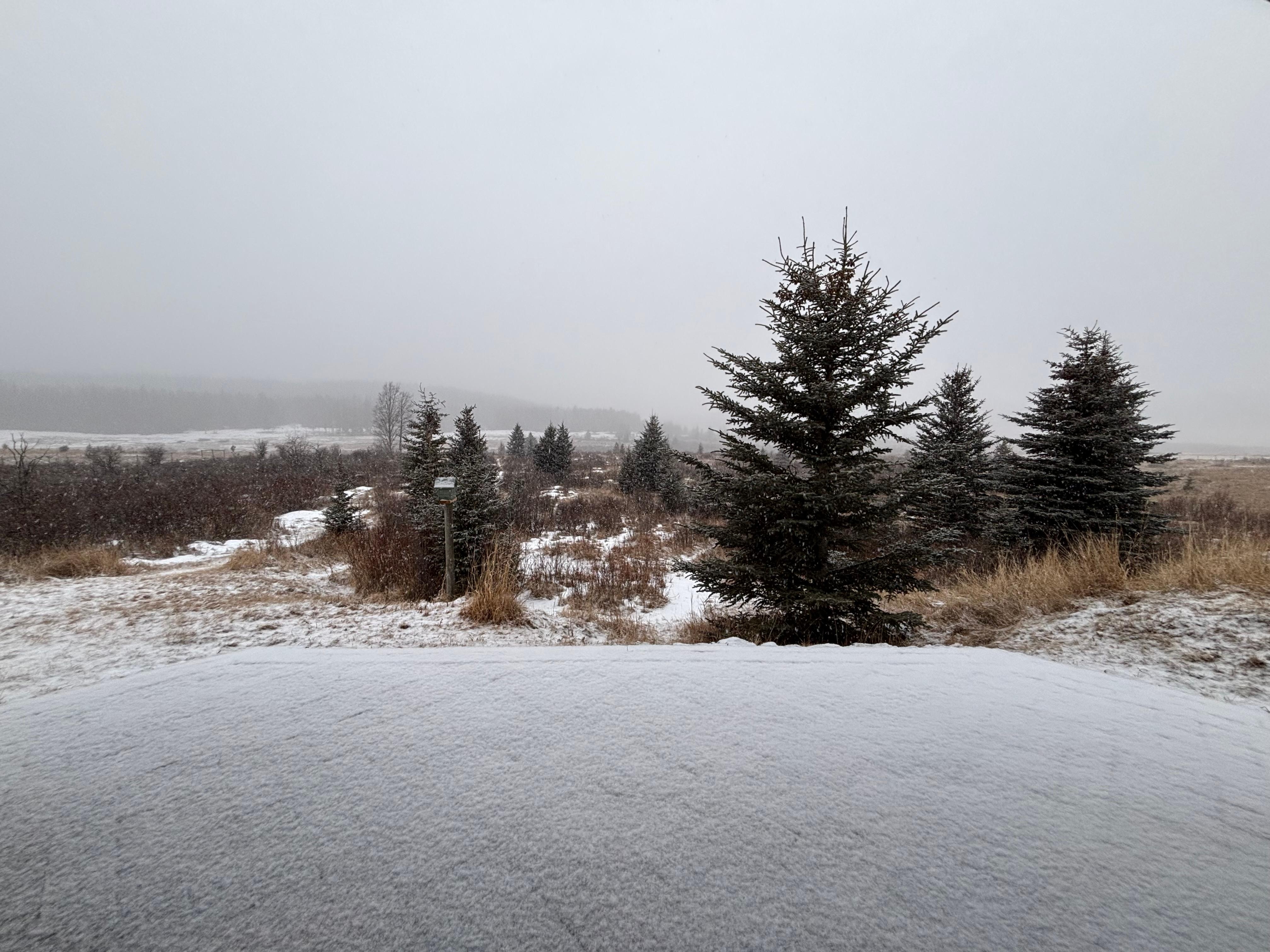 View from the back patio