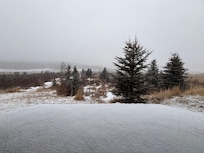 View from the back patio