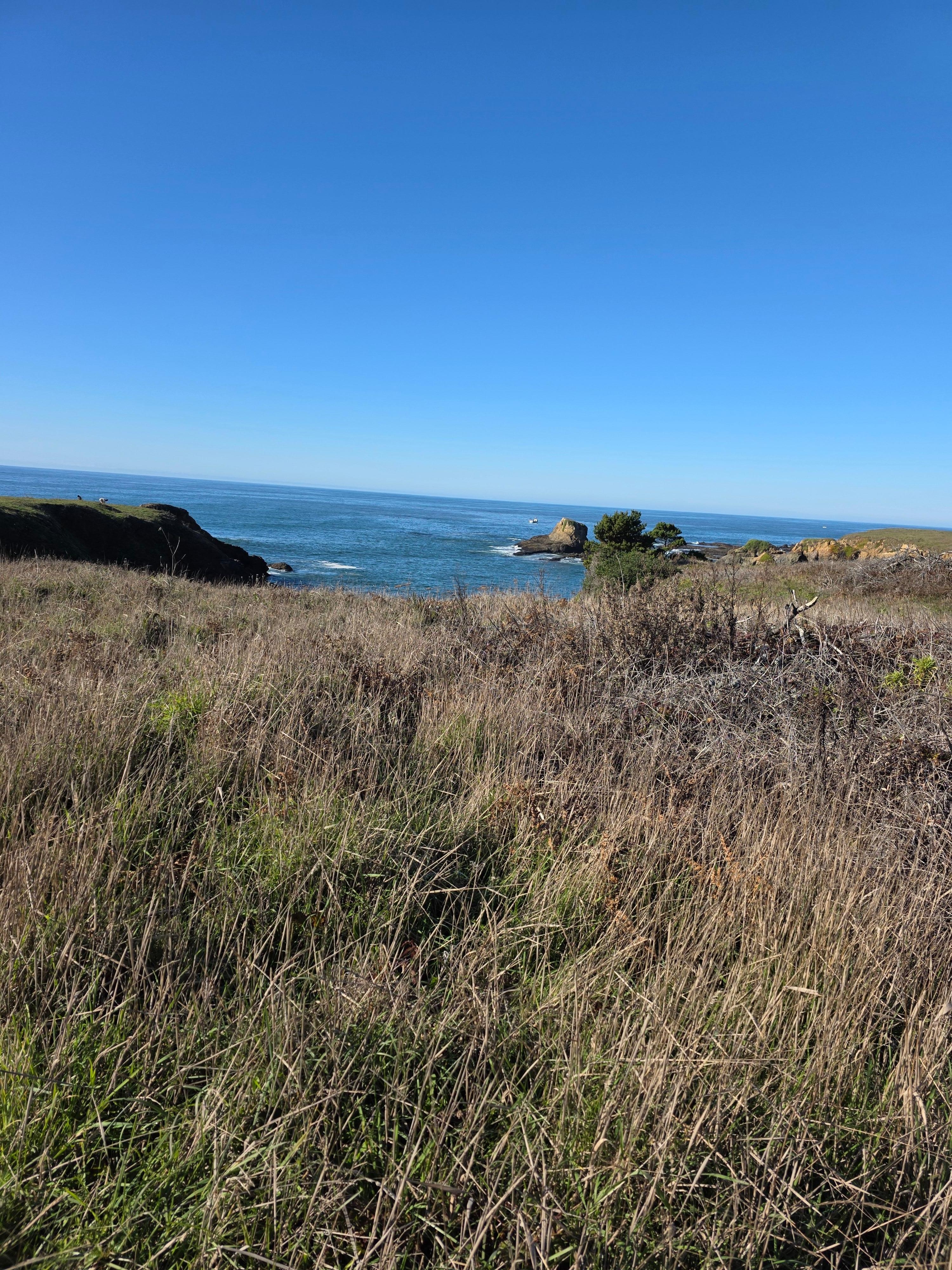 Path a neighbor told us about that leads to amazing views 