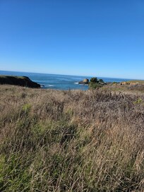 Path a neighbor told us about that leads to amazing views