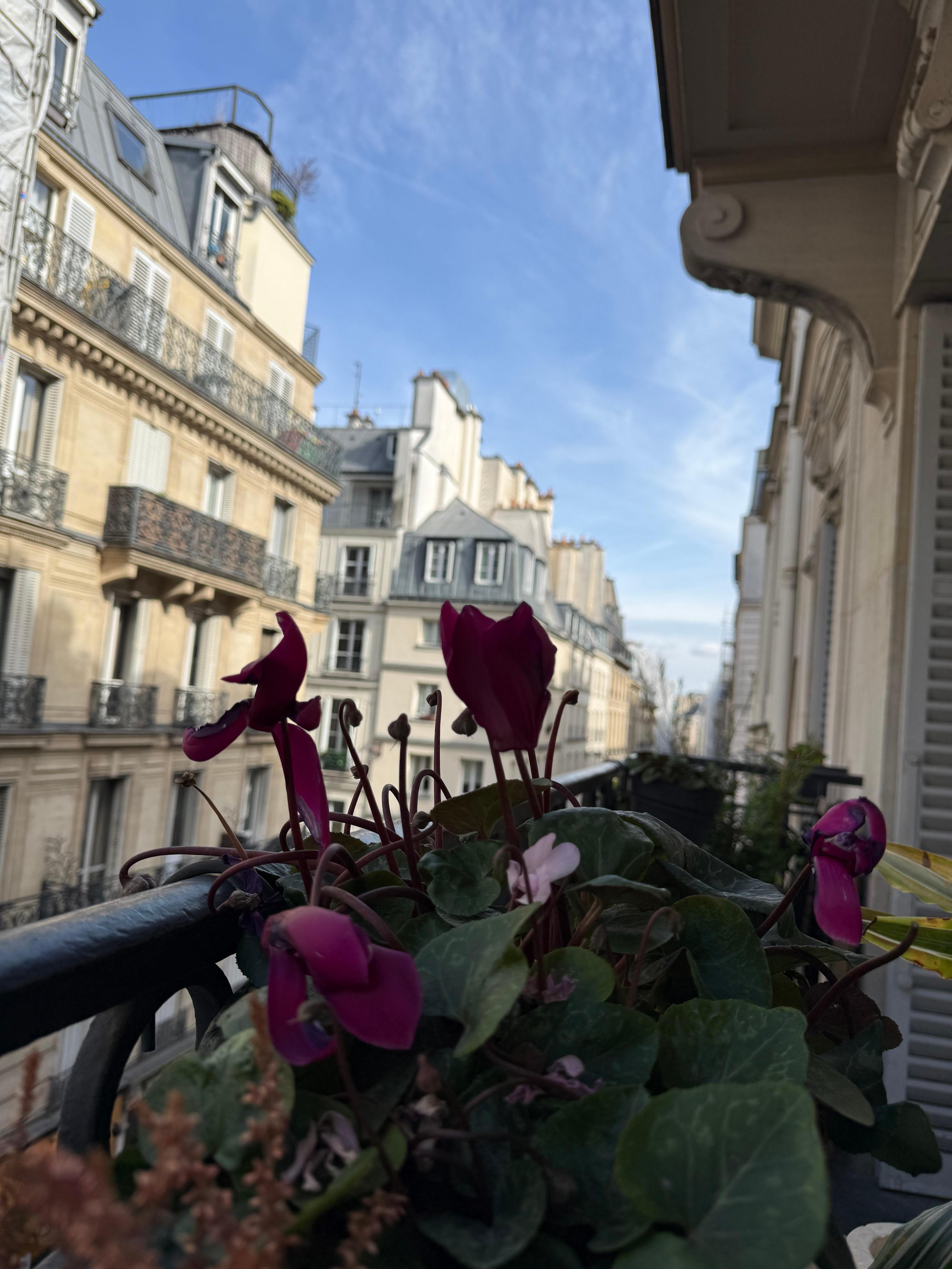 Balcony. Morning coffee here was a great way to start the day