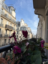 Balcony. Morning coffee here was a great way to start the day