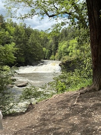 Swallow falls park
