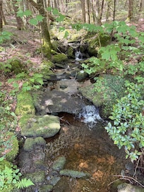Gorgeous Hammertown Trail in Clam River Preserve