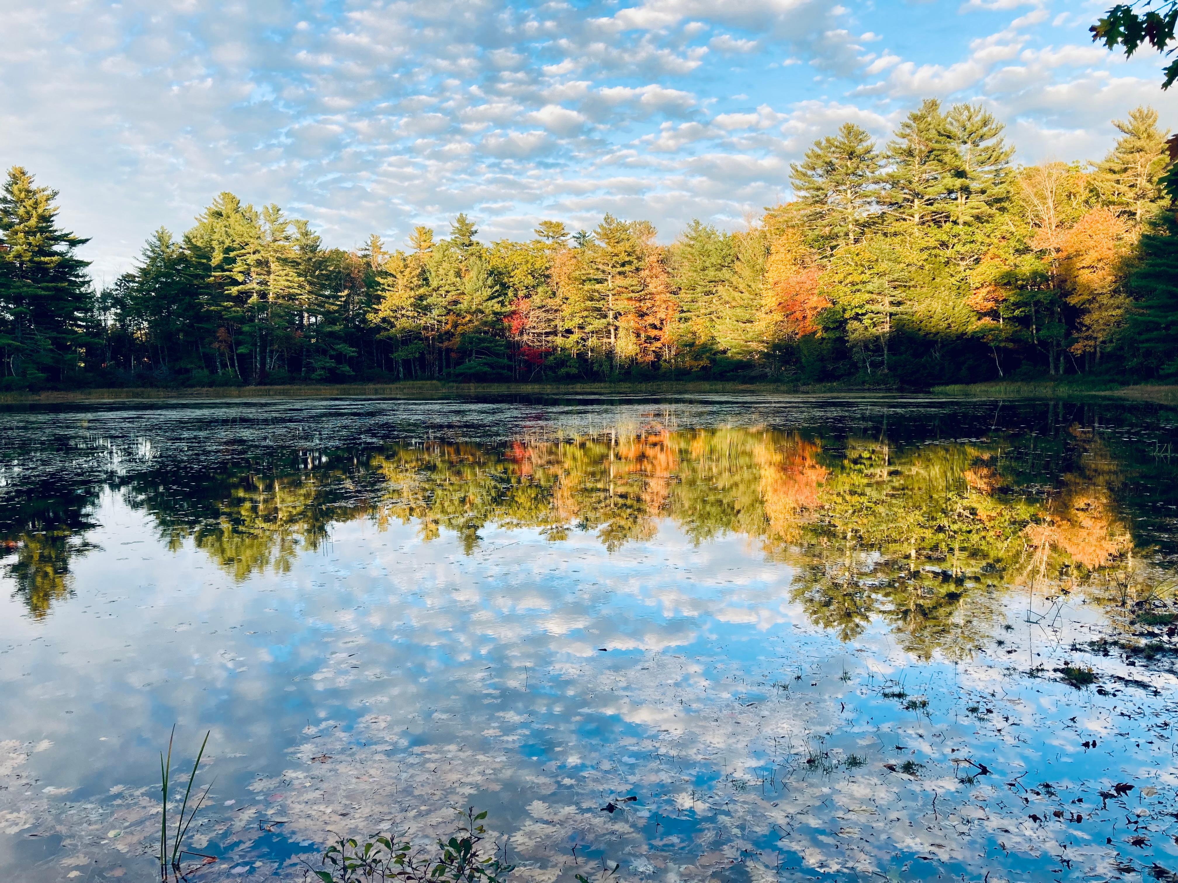 Pitcher pond dam-10 minute walk from the cabin