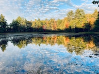 Pitcher pond dam-10 minute walk from the cabin