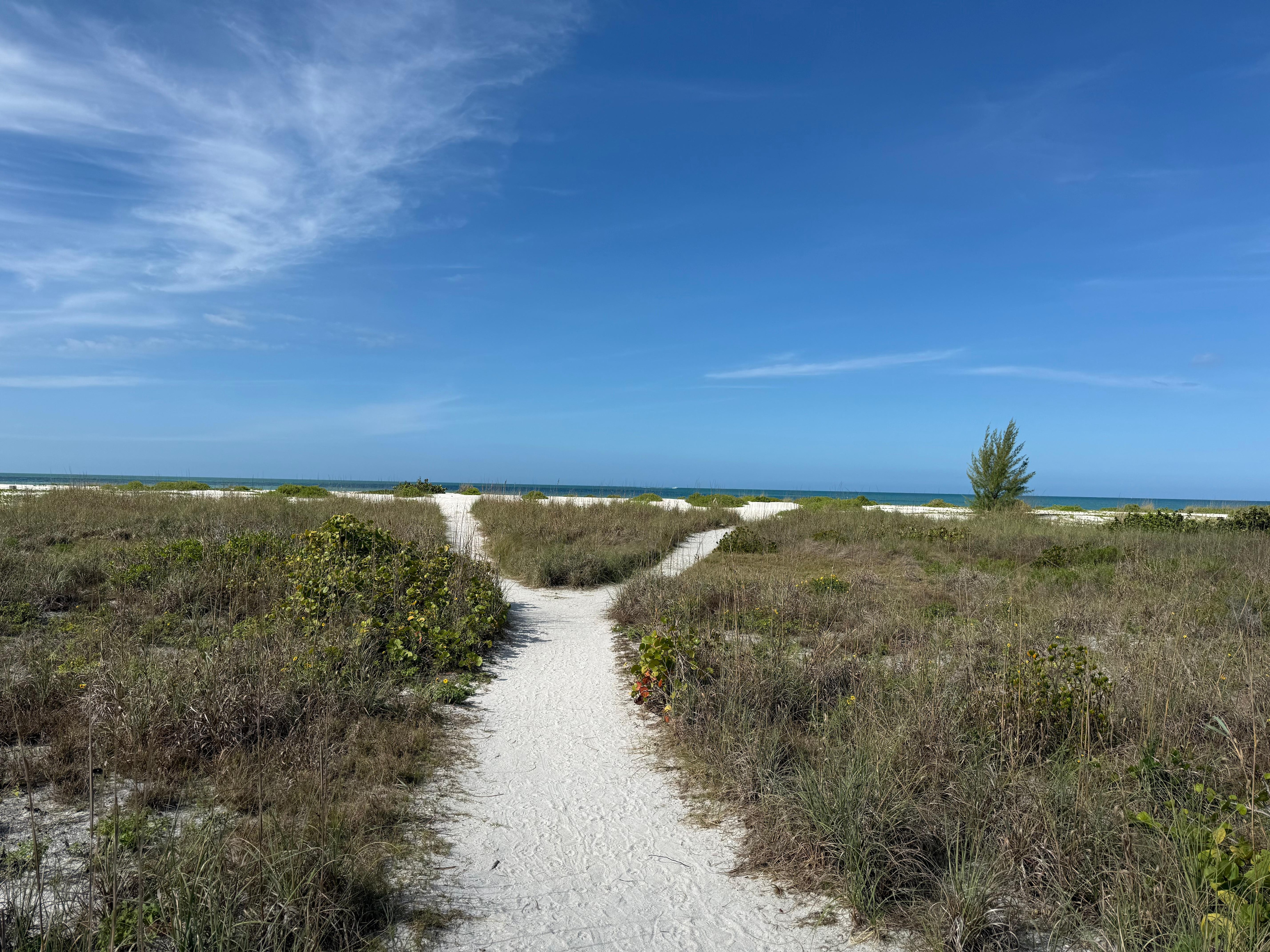 Path to the beach