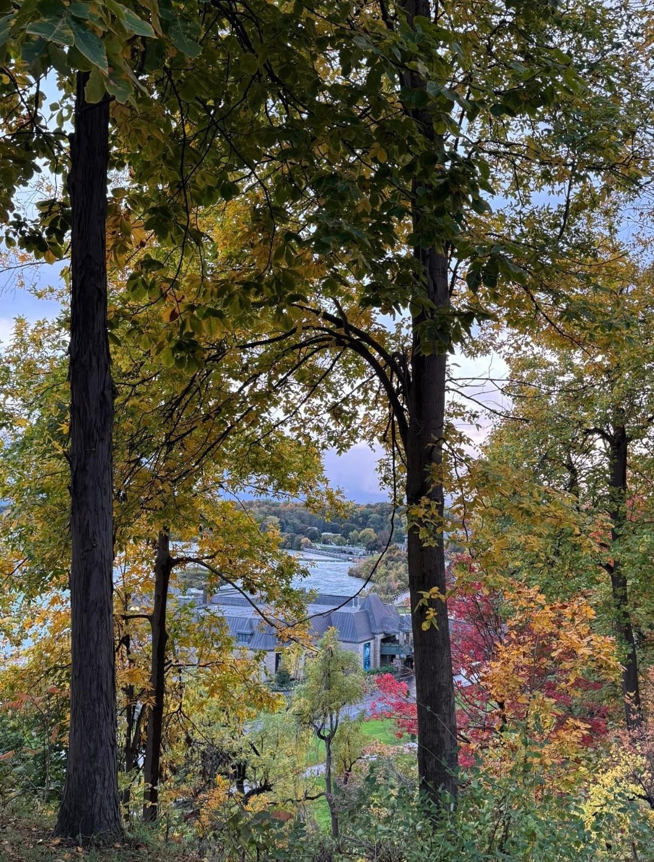 From a shopping center near the hotel